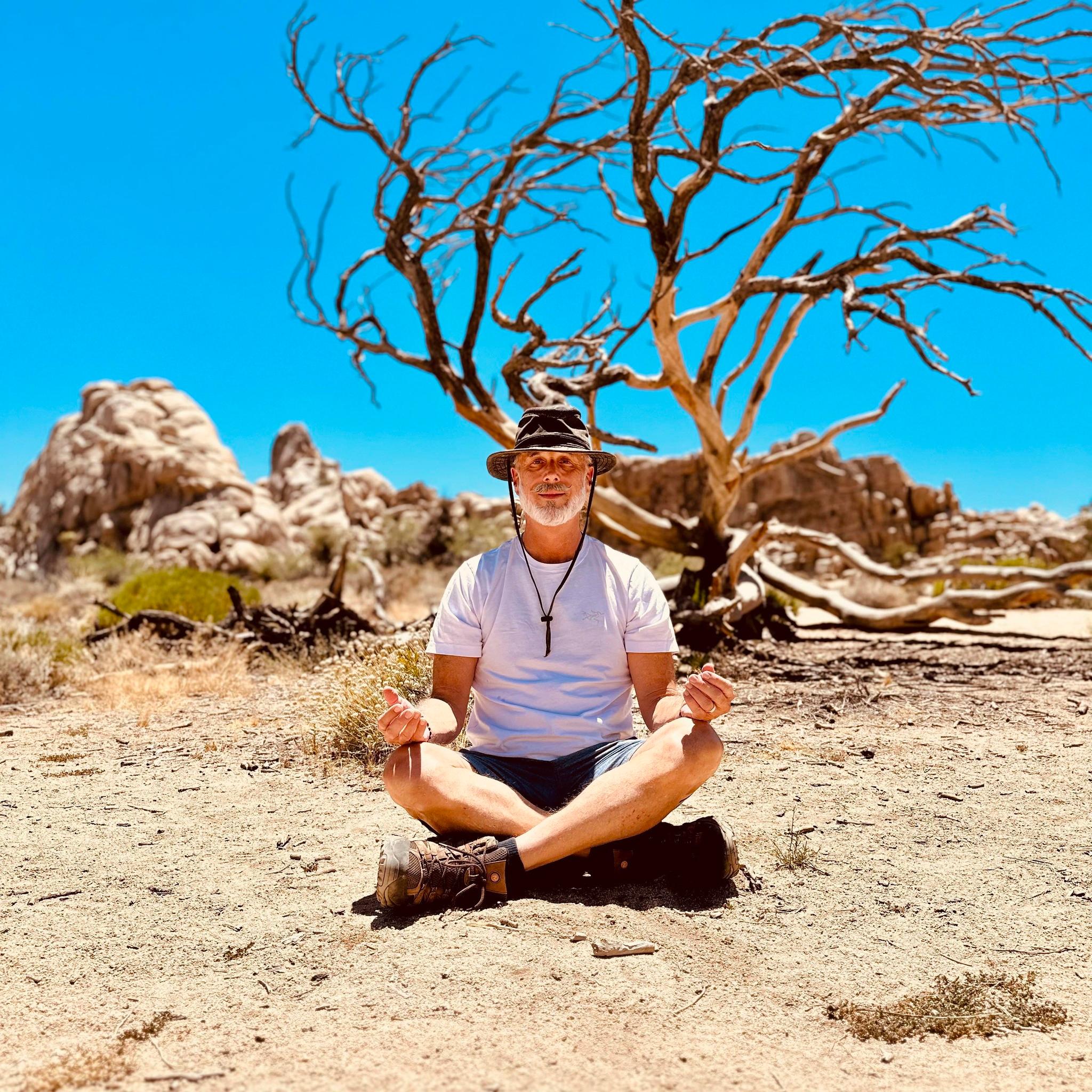 A bearded man in a bucket hat sitting cross-legged in a desert landscape, hands resting on his knees, in front of a bare tree and rock outcrops